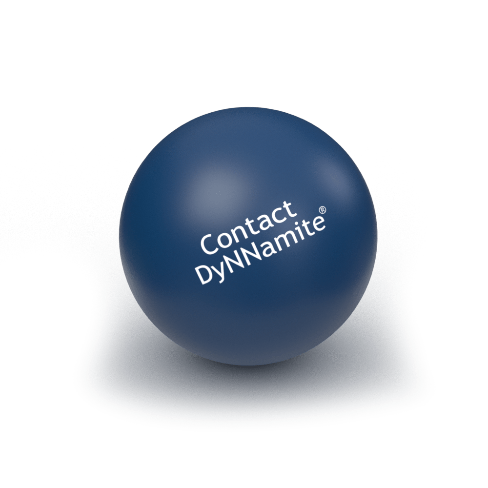 Contact DyNNamite DNN Specialists 