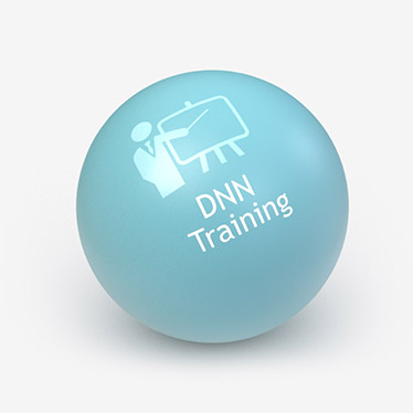 DNN Training by DyNNamite