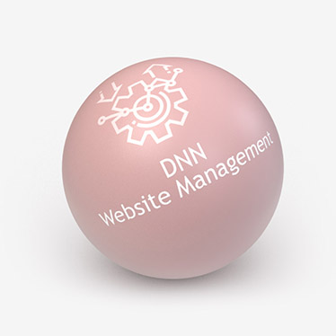 DNN Management by DyNNamite